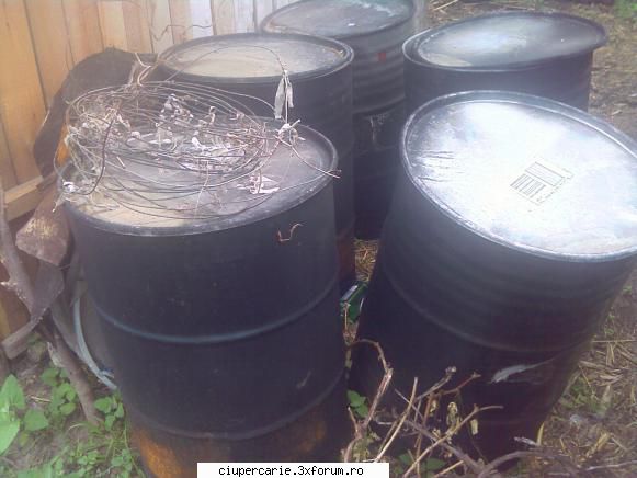 compost pleurotus butoi