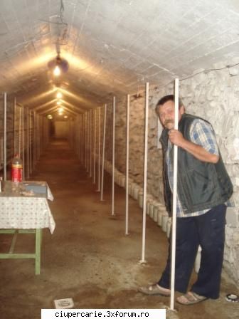dupa o experienta de 18 ani in cultivarea ciupercii diferite producerea propriului a da mii de euro
